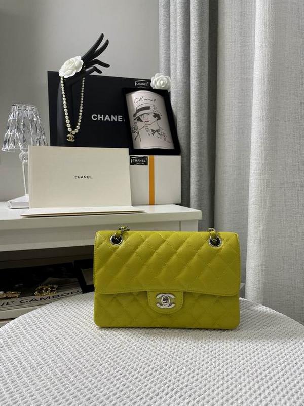 Chanel Handbags 186